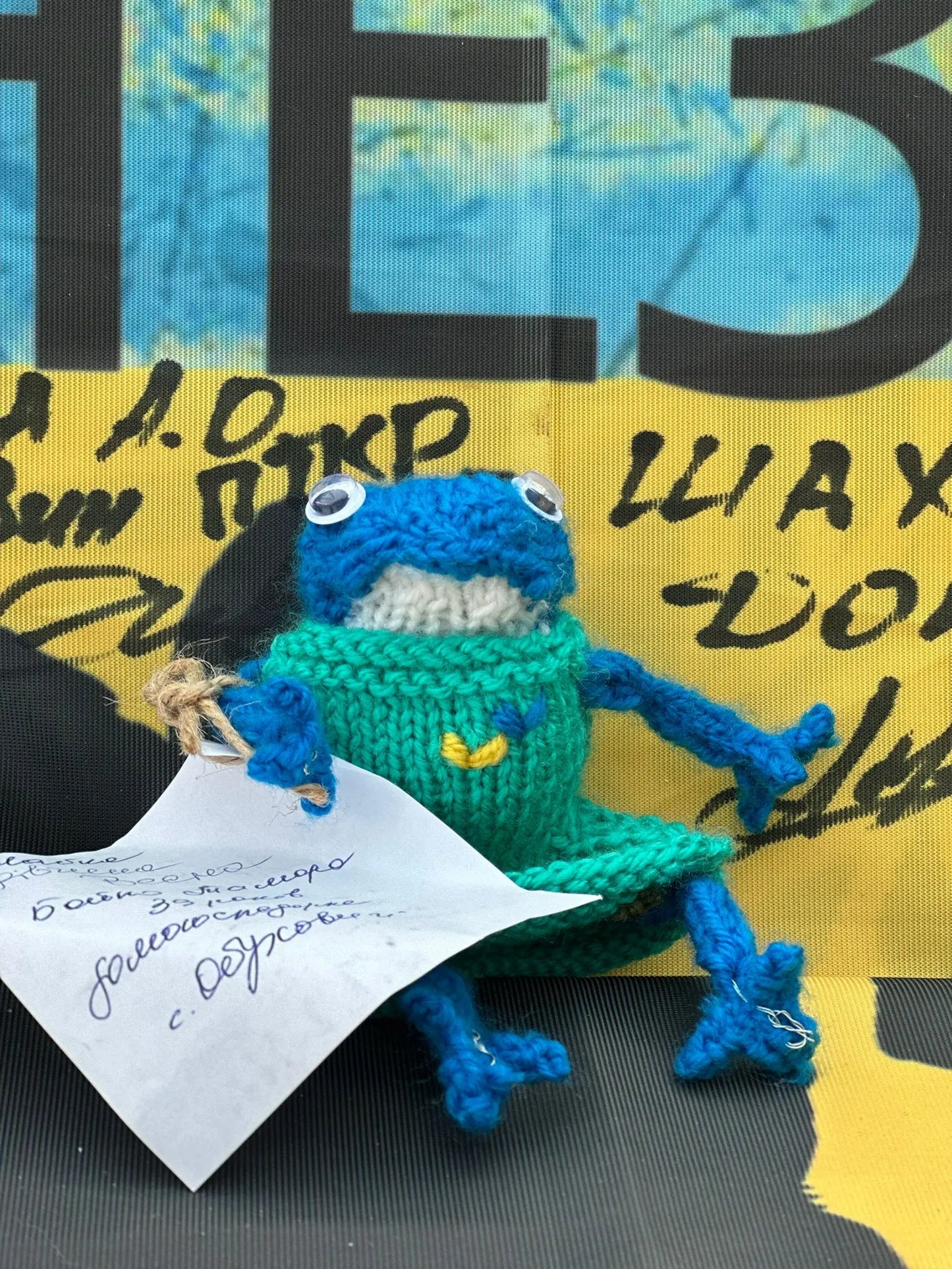 FROGS! Tilly The Frog! Ukraine UK Aid