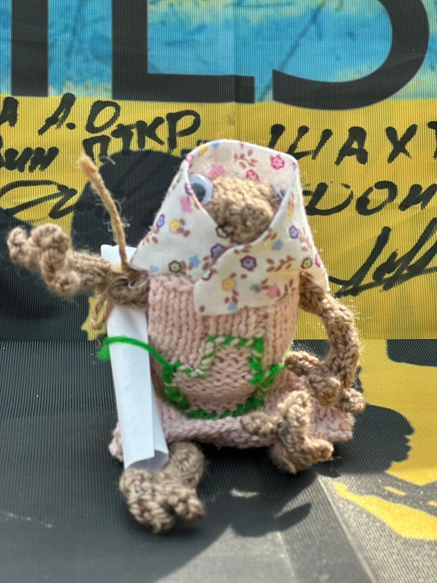 FROGS! Maria The Frog! Ukraine UK Aid