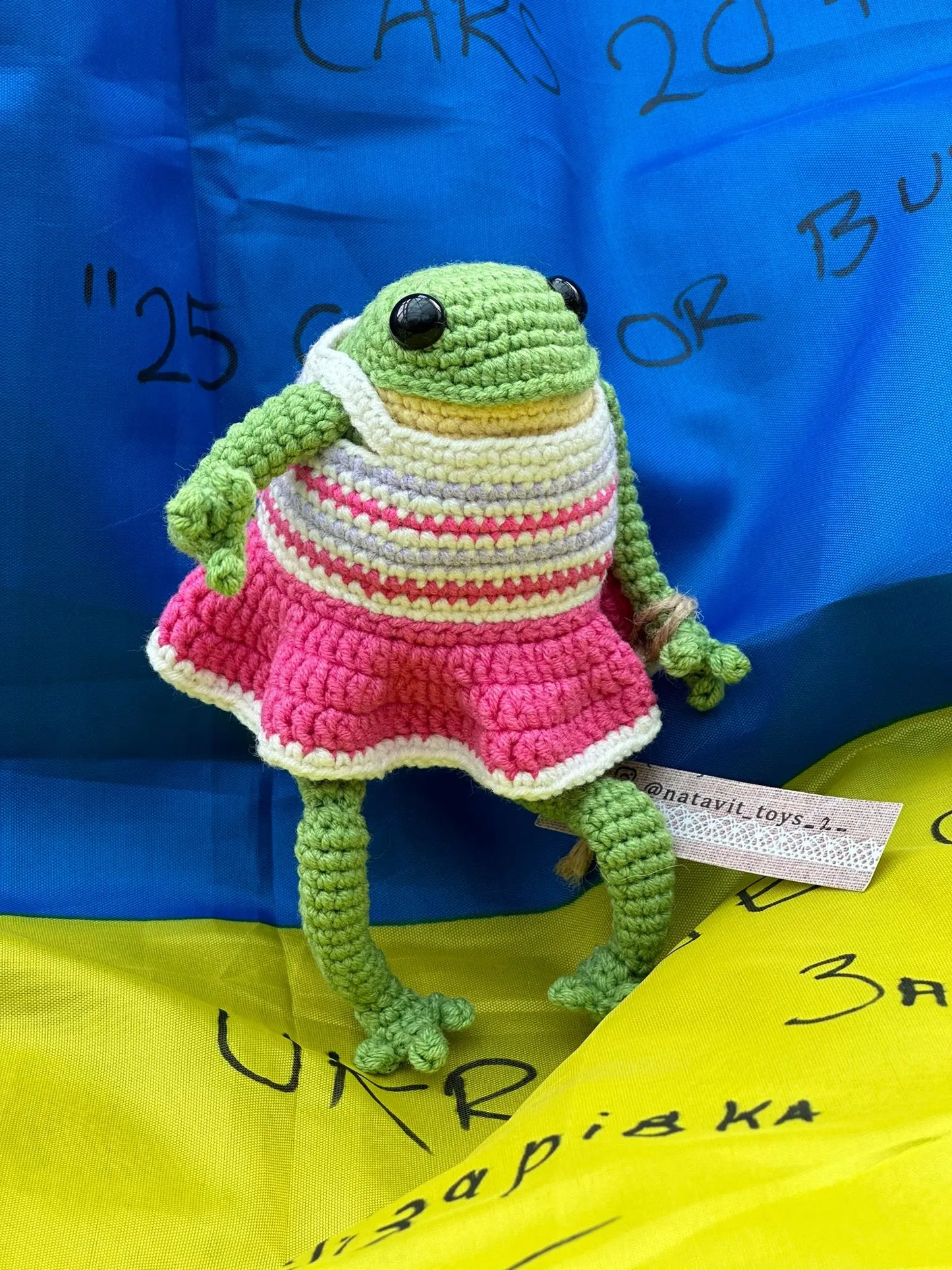 FROGS! Patricia the Party Frog Ukraine UK Aid