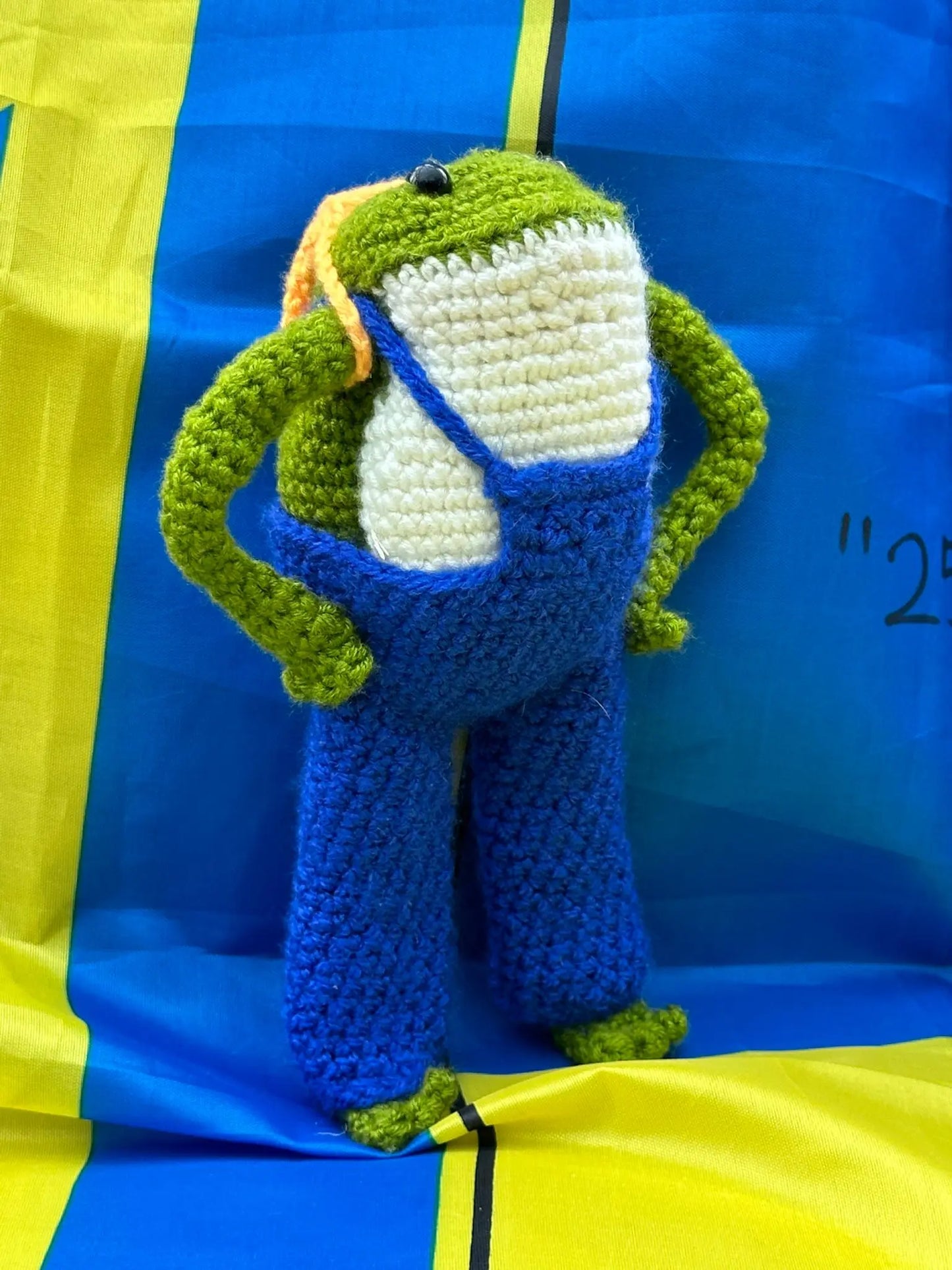 FROGS! Roger Rucksack Frog Ukraine UK Aid