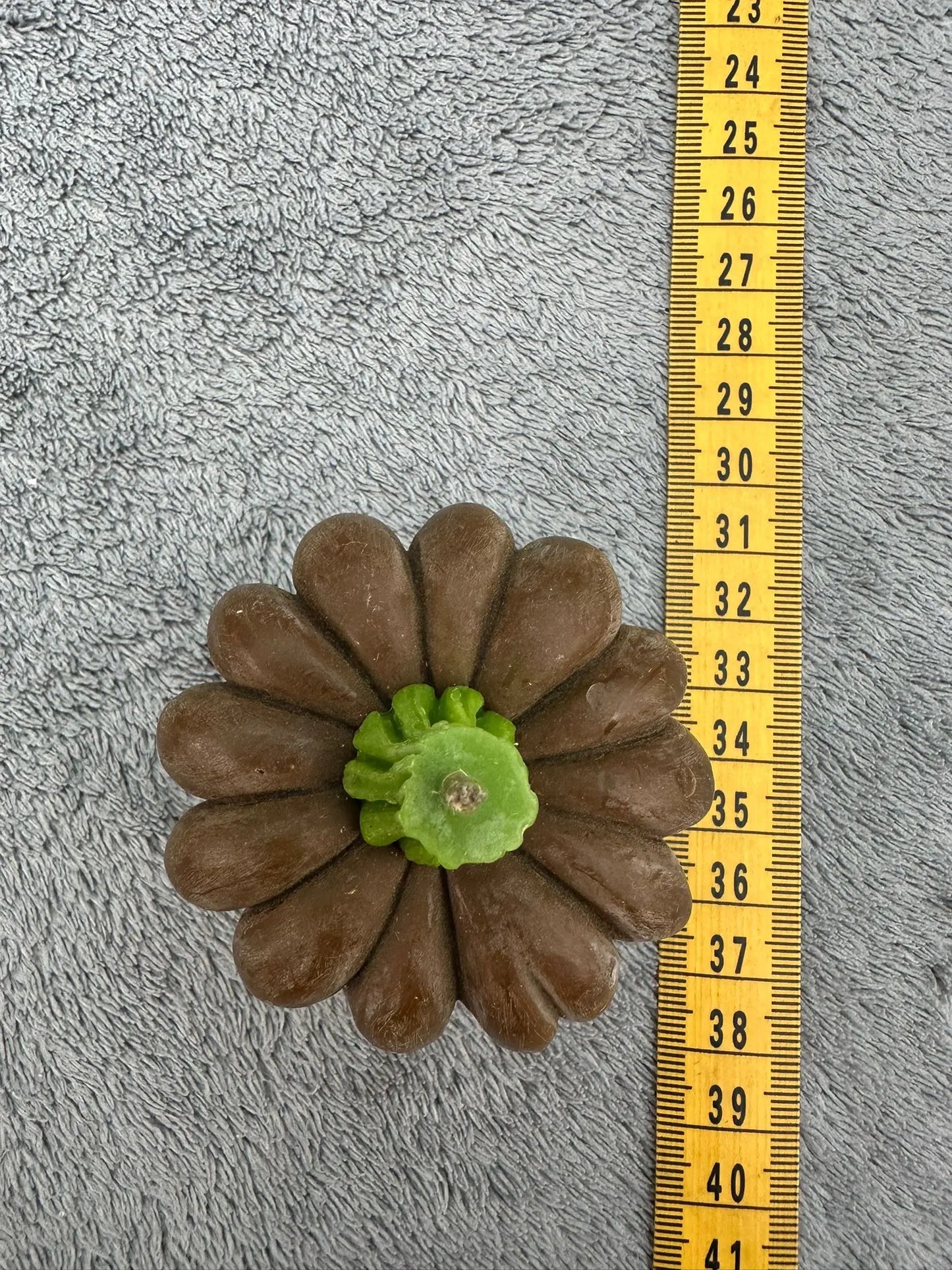 Scented Pumpkin Candle Ukraine UK Aid