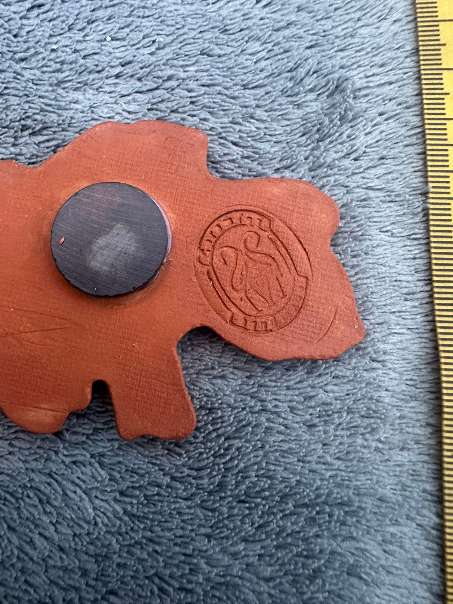 Ukraine Fridge Magnet