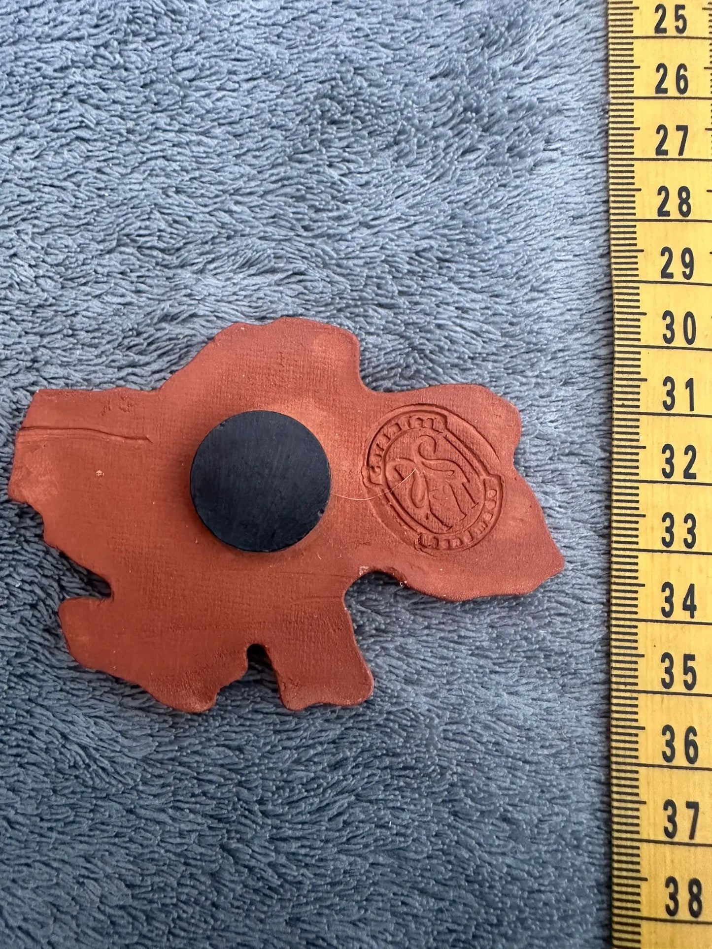 Ukraine Fridge Magnet Ukraine UK Aid