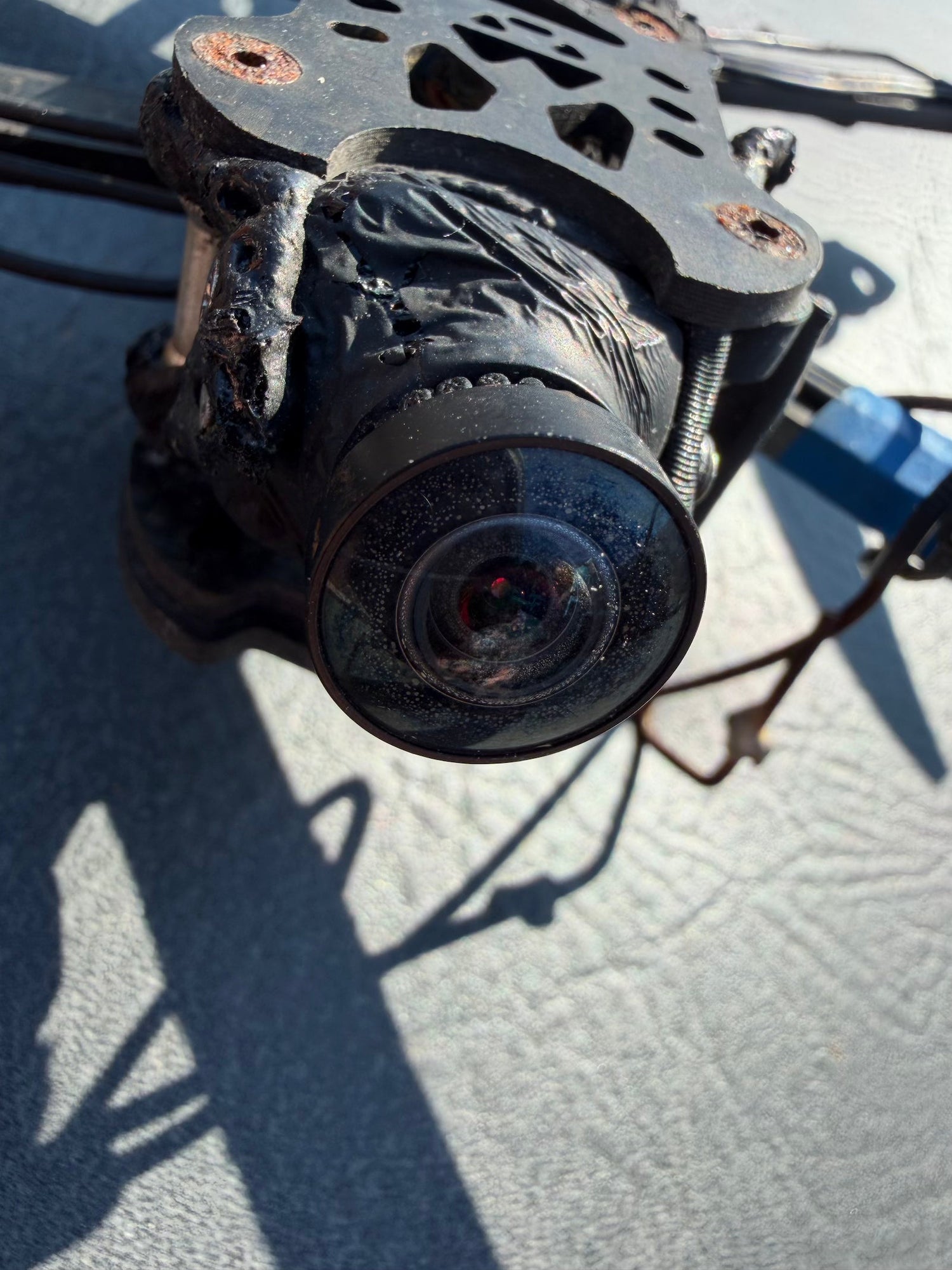 Fresh Finds from Ukraine