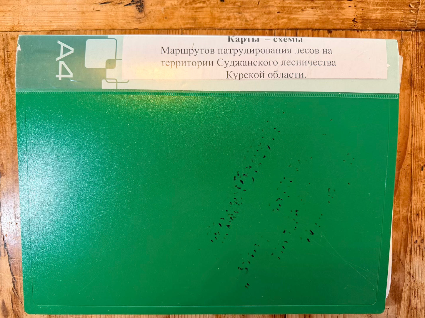 Ruzzian Forestry document folder