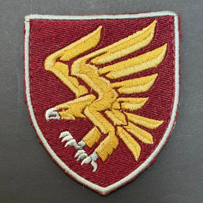 95th Separate Polesian Air Assault Brigade patch