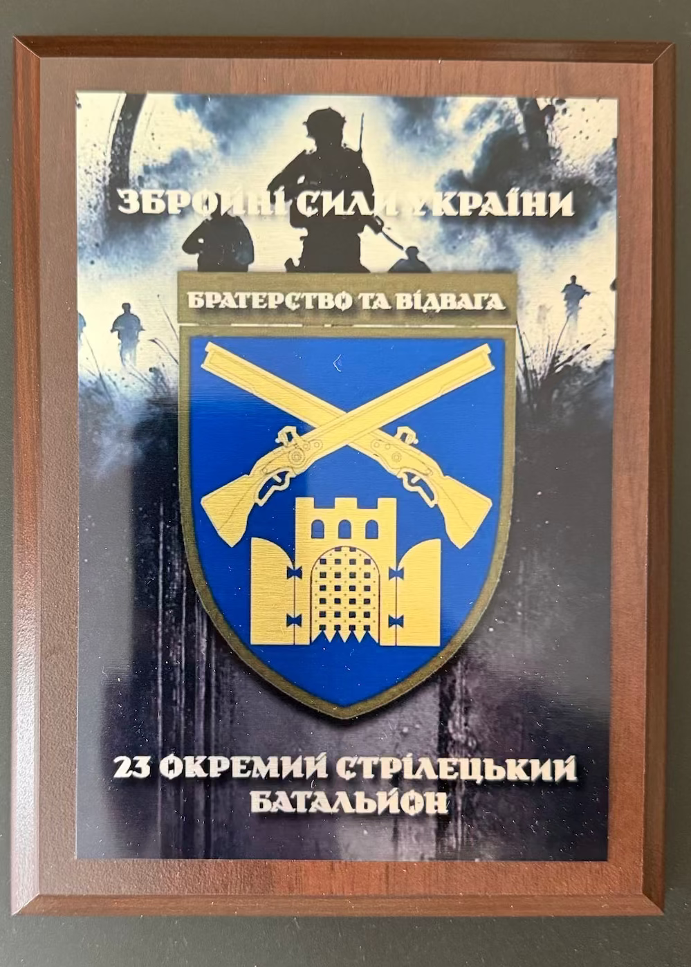 Framed plaque with a blue and gold emblem featuring crossed rifles on a dark background.