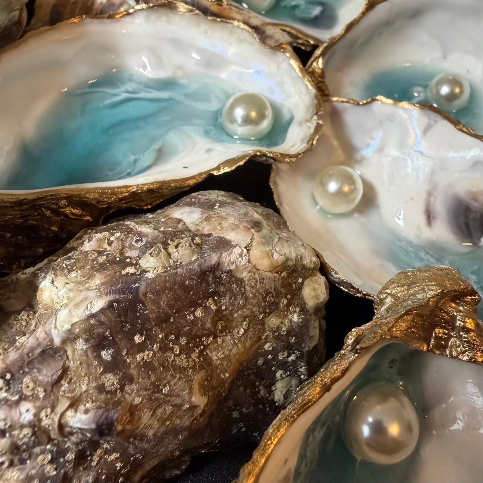 Open oysters with pearls inside on a dark background