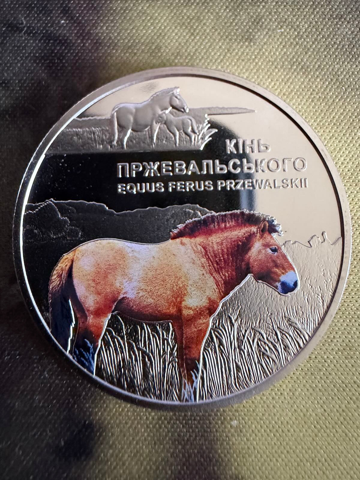 Silver coin