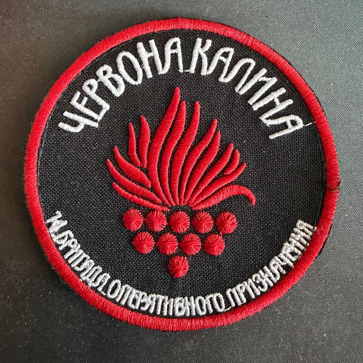 14th Operational Brigade "Chervona Kalyna" of the National Guard of Ukraine (NGU)