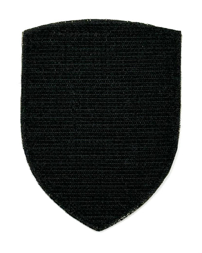 56th Intelligence Brigade worn patch