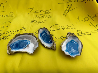 Oyster Shells from Odesa - Painted and filled with Acrylic