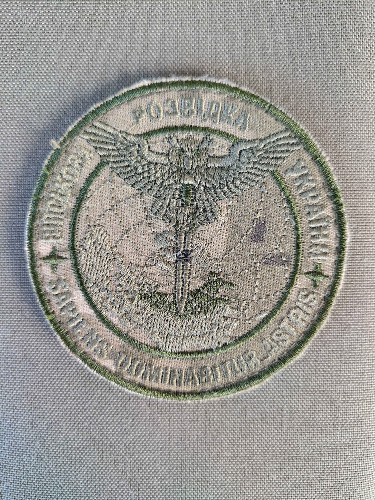 Fabric patch in MM14 Camo pattern depicting an Owl with a sword dangling over Russia