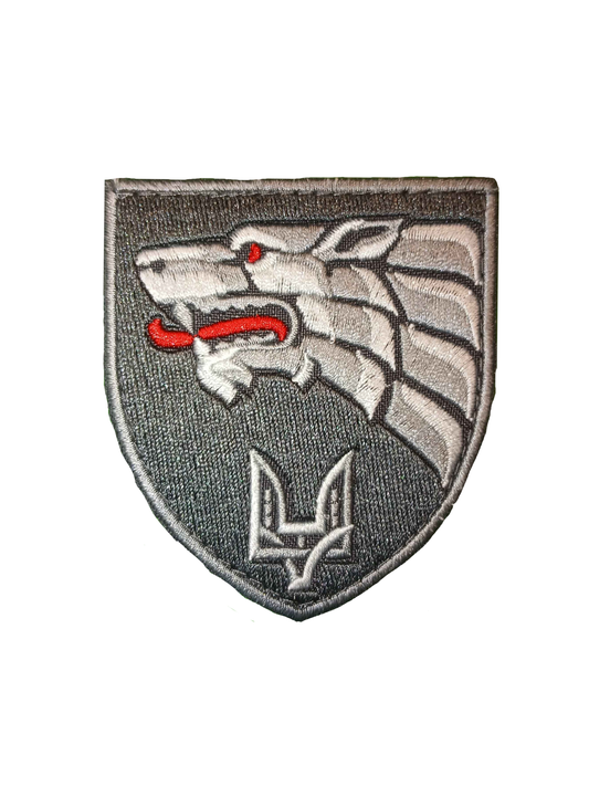 142nd SSO Training center Patch